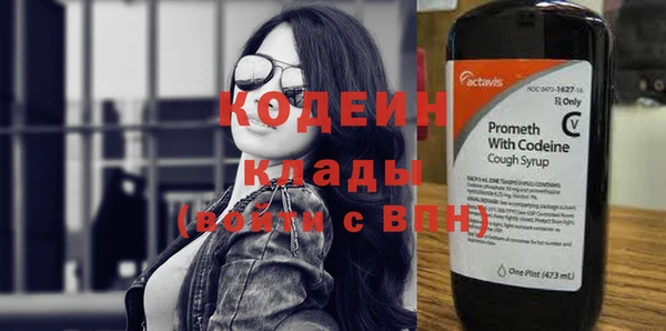 mix Инта