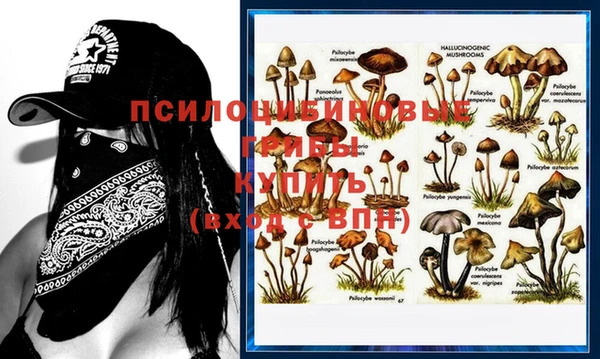mix Инта