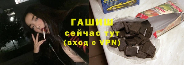 mix Инта