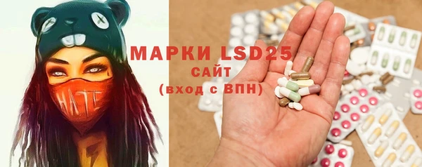 mix Инта