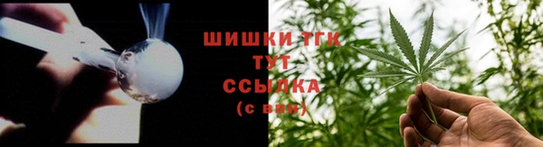 mix Инта