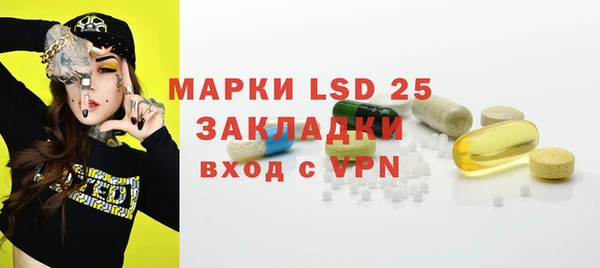 mix Инта