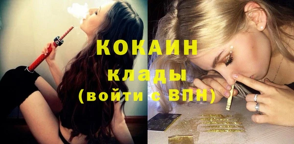 mix Инта