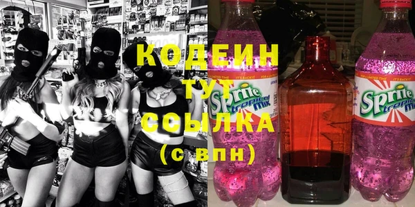 mix Инта